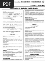 Modelo de Constitucion de Sociedad Civil Ordinaria
