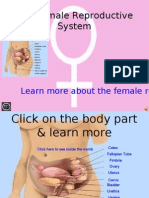 The Female Reproductive System