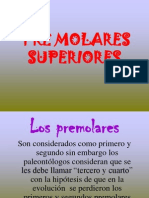 Premolares Superiores