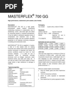 Masterflex 700 GG