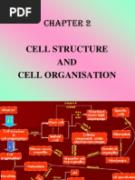 Bio f4 Chap 2 Cell Structure and Cell Organisatio