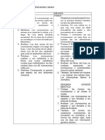 Cuadro Comparativo Mitosis Mellosis