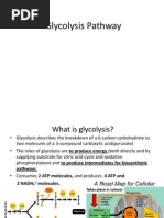 Glycolysis