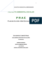 Plan de Accion Prae 2013