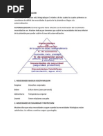 La Piramide de Maslow