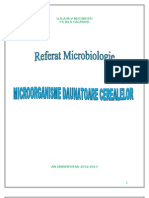 Microbiologia Cerealelor Full