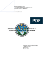 SEMINARI - Importancia Del Fortalecimiento de La Identidad