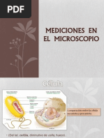 Mediciones en El Microscopio