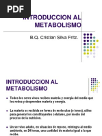 12 Introduccion Al Metabolismo