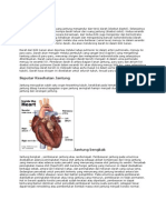 Cara Kerja Jantung