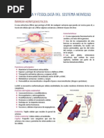 Anatomia y Fisiologia