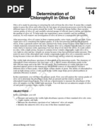 Chlorophyll in Olive Oil