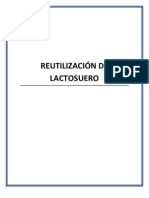 Reutilización de Lactosuero PDF