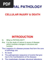 Cellular Injury & Death