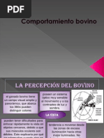 Comportamiento Bovino PDF