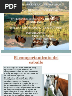 Comportamiento Del Caballo PDF