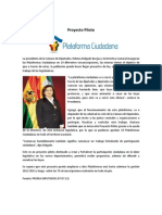 Plataformas Ciudadanas PDF