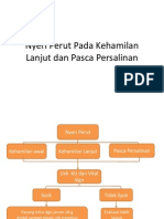 Nyeri Perut Pada Kehamilan Lanjut Dan Pasca Persalinan