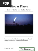 Biogas Flares