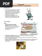 Traumatismos y Homeopatia