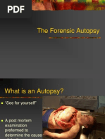 Autopsy