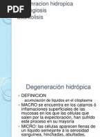 Degenracion Hidropica