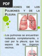 Relaciones de Los Pulmones y de La Pleura