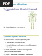 20 The Lymphatic System - Lymphoid Organs and Tissues