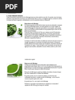 Nutricion de La Moringa