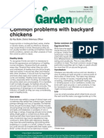 Diseases of Backyard Chickens