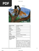 Registro - Leopardo