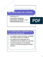 Catabolismo de Lipidos PDF