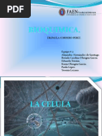 Bioquimica La Celula