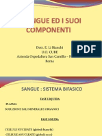 Sangue. Componenti e Patologie