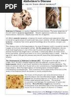 Alzheimersnotes