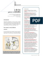 Patologias Del SNC Par Craneales