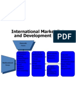 International Market Entry and Development Model