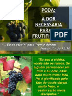 1º-2º Segredo Da Vinha - Poda, A Dor e Disciplina: Necessárias para A Frutificação