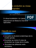 Les Voies de Conduction Au Niveau de La Moelle