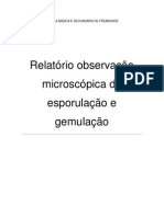 Relatório de Biologia2