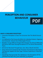 Perception and Consumer Behaviour