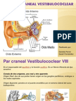 Diapos Vestibulococlear Completas!!