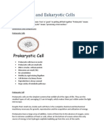 Prokaryotic and Eukaryotic Cells