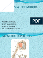 Anatomia Locomotora