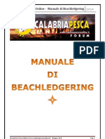 Manuale Di Beachledgering PDF