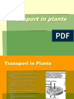 Transport in Plants