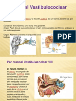 Diapos Vestibulococlear Completas