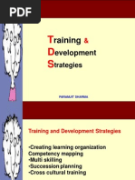 Training & Development Strategies