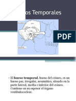 Huesos Temporales