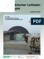 Praktischer Leitfaden Biogas